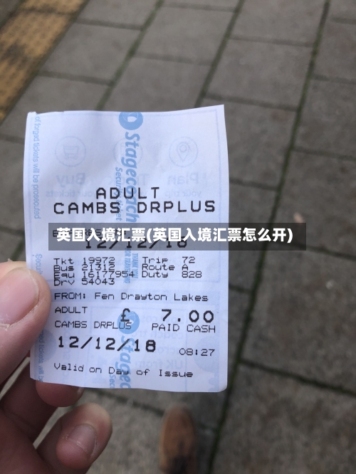 英国入境汇票(英国入境汇票怎么开)