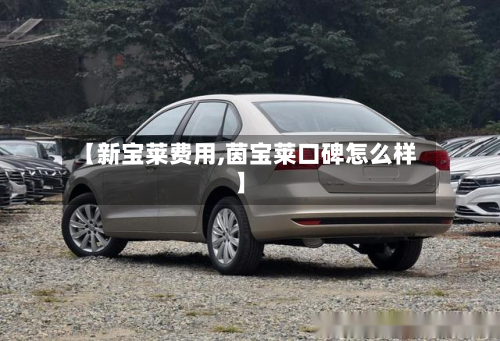 【新宝莱费用,茵宝莱口碑怎么样】