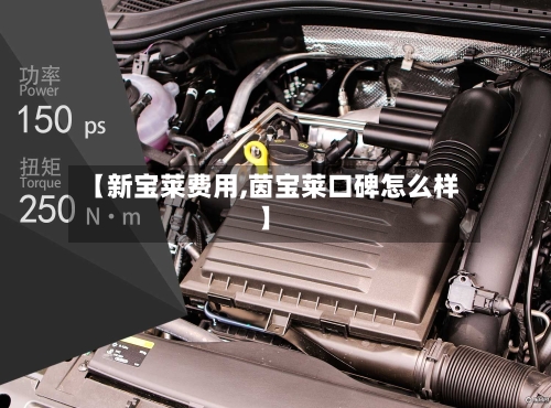 【新宝莱费用,茵宝莱口碑怎么样】-第3张图片