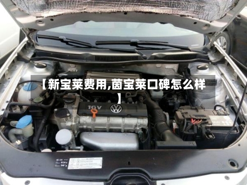 【新宝莱费用,茵宝莱口碑怎么样】-第2张图片