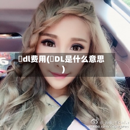 丅dl费用(乚DL是什么意思)
