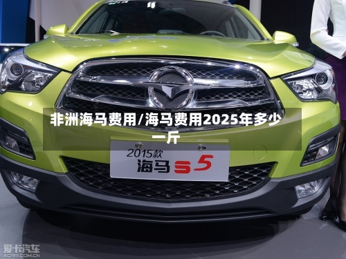 非洲海马费用/海马费用2025年多少一斤-第2张图片