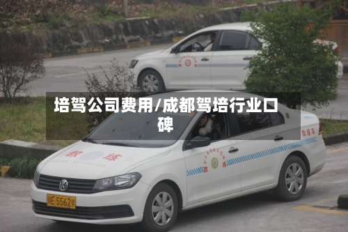 培驾公司费用/成都驾培行业口碑-第2张图片