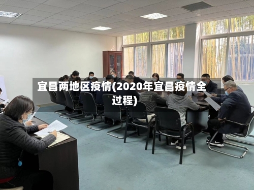 宜昌两地区疫情(2020年宜昌疫情全过程)-第2张图片