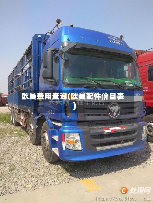 欧曼费用查询(欧曼配件价目表)-第3张图片