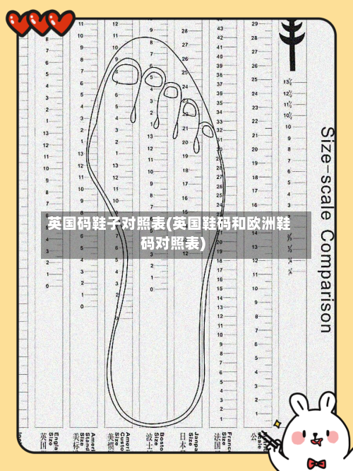 英国码鞋子对照表(英国鞋码和欧洲鞋码对照表)-第2张图片