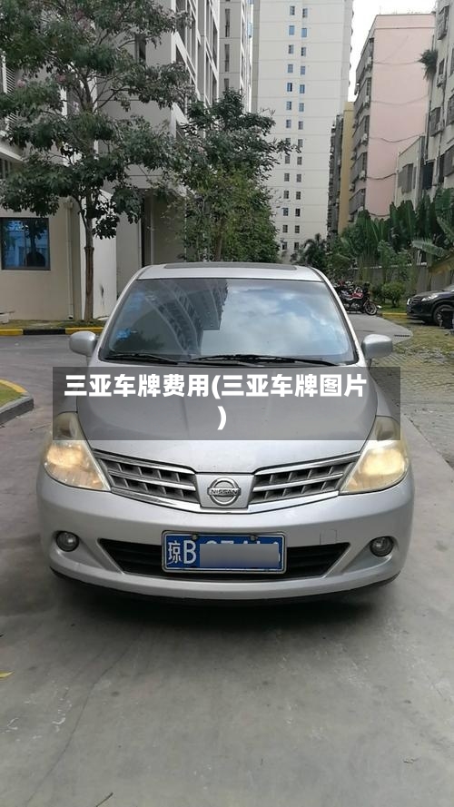 三亚车牌费用(三亚车牌图片)