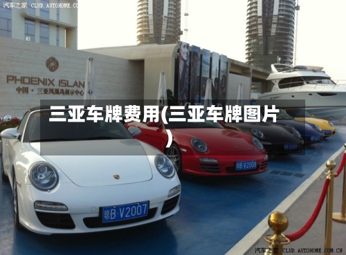 三亚车牌费用(三亚车牌图片)-第2张图片