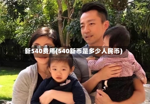 新540费用(540新币是多少人民币)