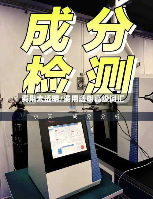 费用太透明/费用透明高级词汇