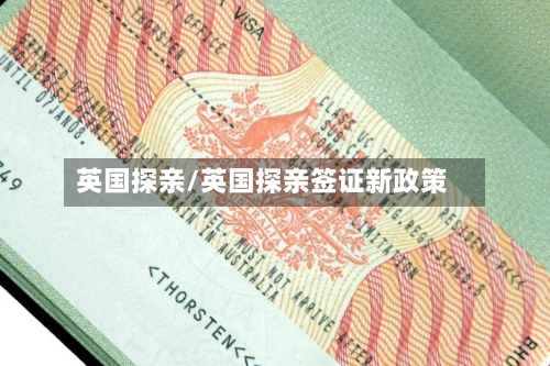 英国探亲/英国探亲签证新政策-第2张图片