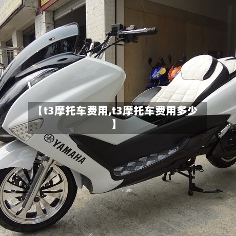 【t3摩托车费用,t3摩托车费用多少】