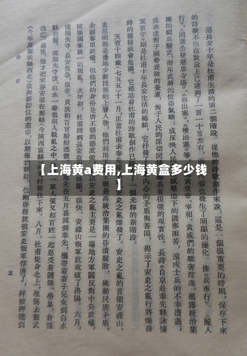 【上海黄a费用,上海黄盒多少钱】-第3张图片