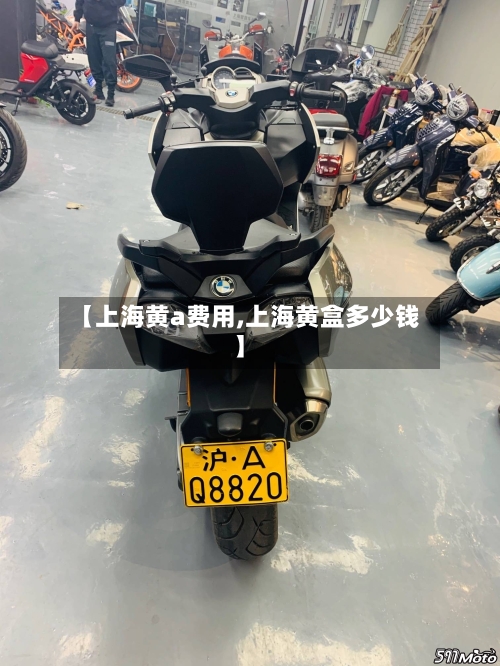 【上海黄a费用,上海黄盒多少钱】-第2张图片