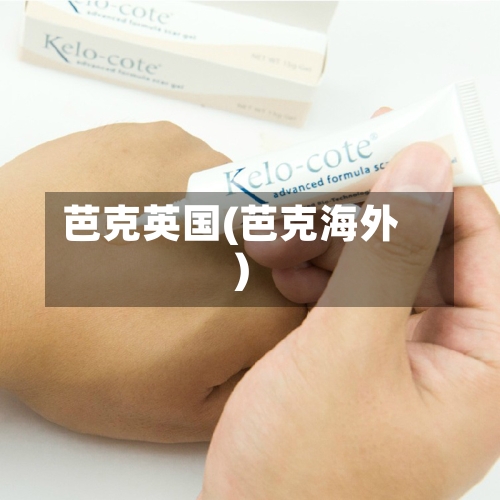 芭克英国(芭克海外)-第2张图片