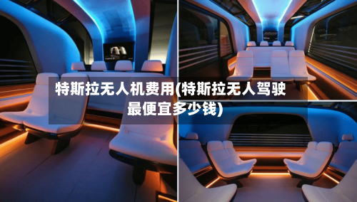 特斯拉无人机费用(特斯拉无人驾驶最便宜多少钱)