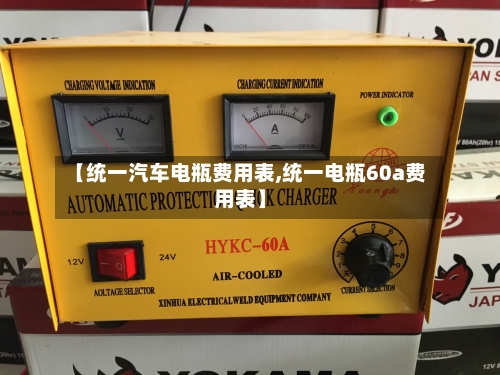 【统一汽车电瓶费用表,统一电瓶60a费用表】