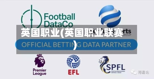 英国职业(英国职业联赛)