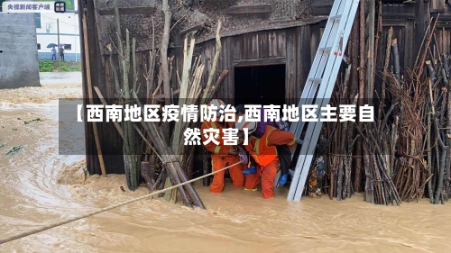 【西南地区疫情防治,西南地区主要自然灾害】