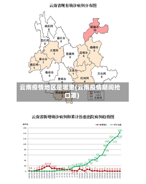 云南疫情地区是哪里(云南疫情期间抢口罩)-第2张图片