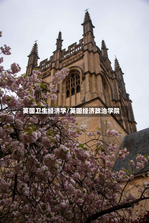 英国卫生经济学/英国经济政治学院-第3张图片