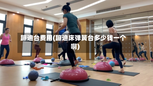 蹦迪台费用(蹦迪床弹簧台多少钱一个啊)-第2张图片