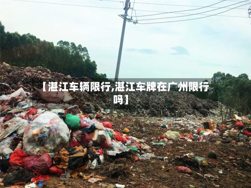 【湛江车辆限行,湛江车牌在广州限行吗】