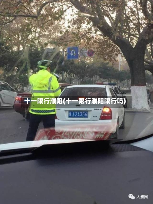 十一限行濮阳(十一限行濮阳限行吗)