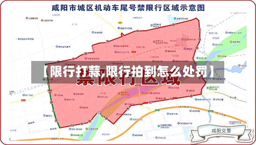 【限行打蒜,限行拍到怎么处罚】-第2张图片