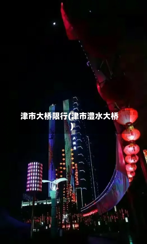 津市大桥限行(津市澧水大桥)