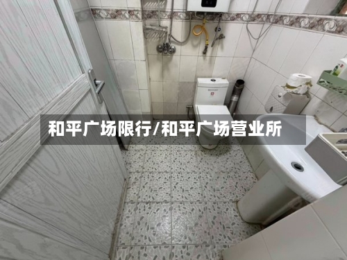 和平广场限行/和平广场营业所-第3张图片