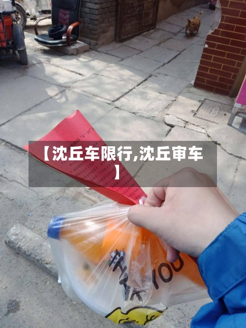 【沈丘车限行,沈丘审车】-第3张图片