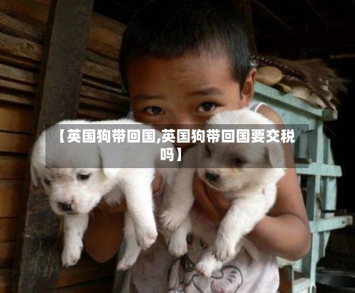 【英国狗带回国,英国狗带回国要交税吗】-第2张图片