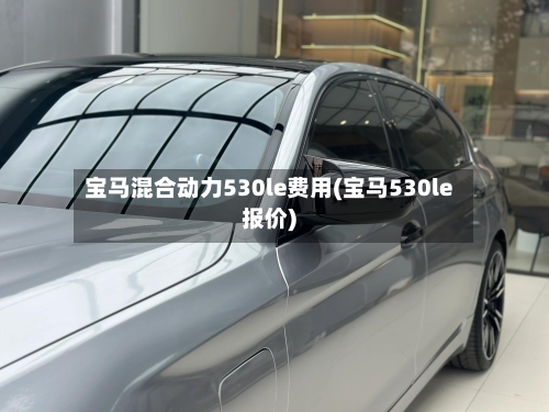 宝马混合动力530le费用(宝马530le报价)-第2张图片