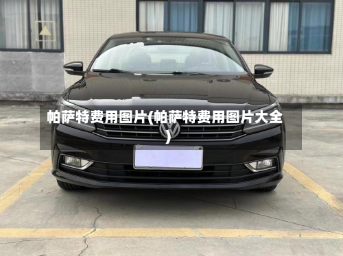 帕萨特费用图片(帕萨特费用图片大全)-第3张图片