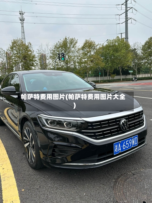 帕萨特费用图片(帕萨特费用图片大全)