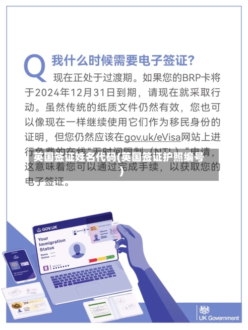 英国签证姓名代码(英国签证护照编号)-第2张图片