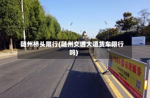 随州桥头限行(随州交通大道货车限行吗)-第3张图片