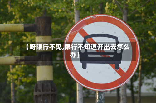 【呀限行不见,限行不知道开出去怎么办】-第2张图片