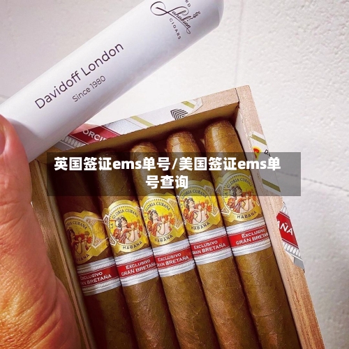英国签证ems单号/美国签证ems单号查询