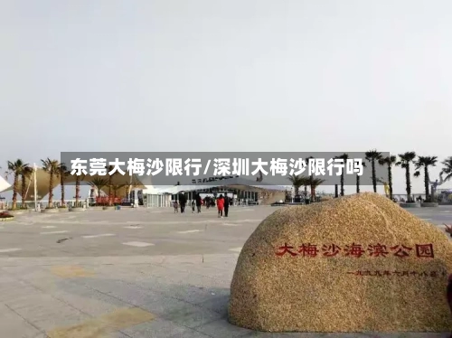 东莞大梅沙限行/深圳大梅沙限行吗-第2张图片