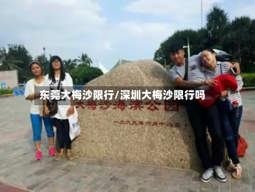 东莞大梅沙限行/深圳大梅沙限行吗-第3张图片