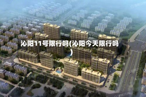沁阳11号限行吗(沁阳今天限行吗)