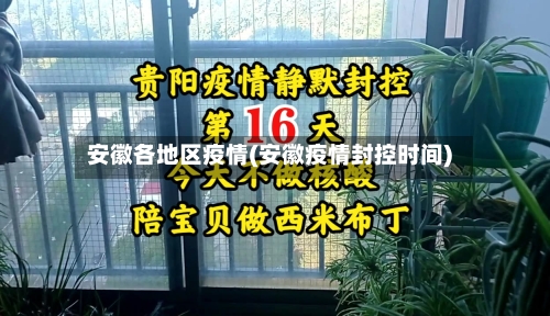 安徽各地区疫情(安徽疫情封控时间)-第2张图片