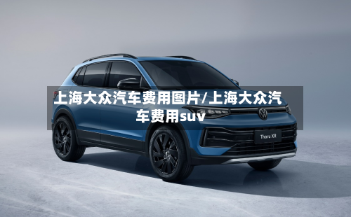 上海大众汽车费用图片/上海大众汽车费用suv-第2张图片