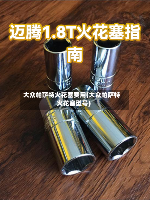 大众帕萨特火花塞费用(大众帕萨特火花塞型号)