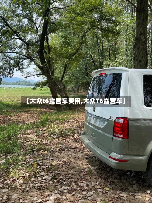 【大众t6露营车费用,大众T6露营车】