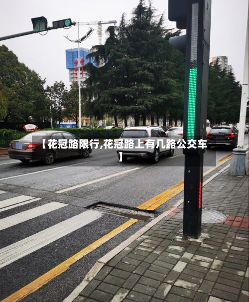 【花冠路限行,花冠路上有几路公交车】