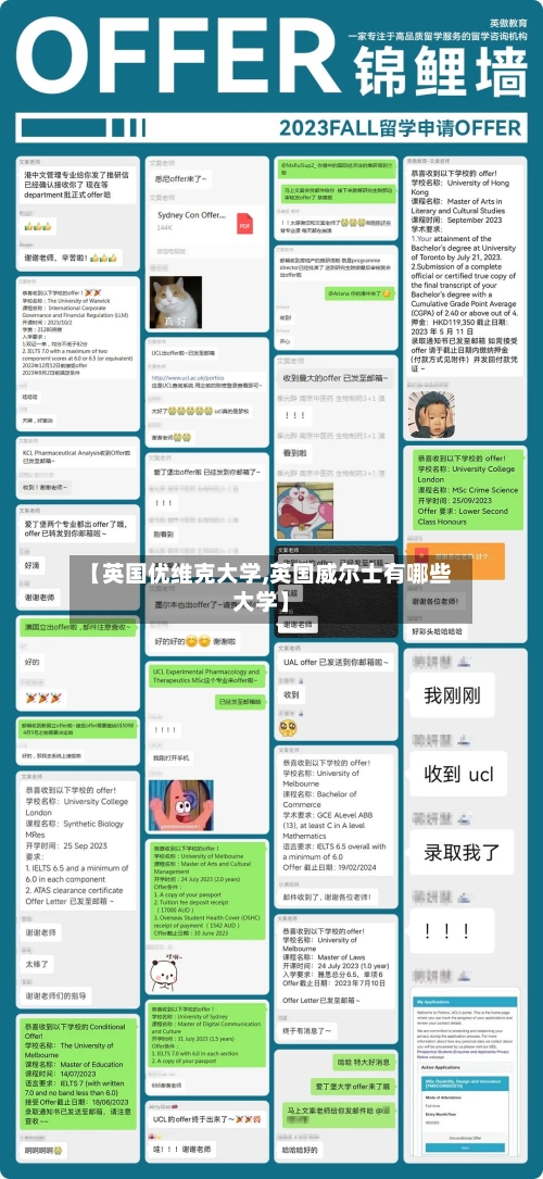 【英国优维克大学,英国威尔士有哪些大学】-第2张图片