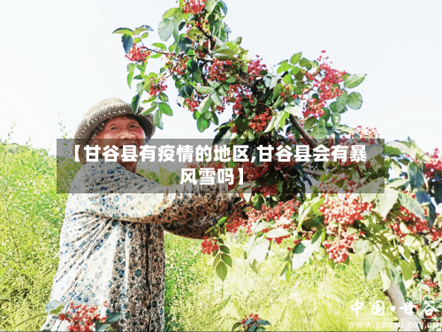 【甘谷县有疫情的地区,甘谷县会有暴风雪吗】